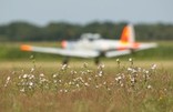 Les Faucheurs de Marguerites 2009