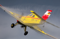 Dittinger Flugtage 2013