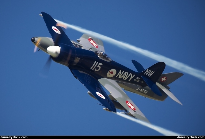 Formation of Hawker Hunter and Sea Fury