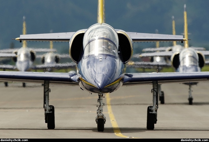 Breitling Jet Team (Aero L-39 Albatros)