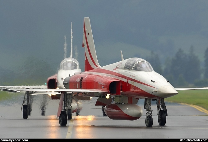 Patrouille Suisse (F-5 Tiger II)