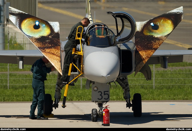 JAS-39C Gripen (Czech Air Force solo display)