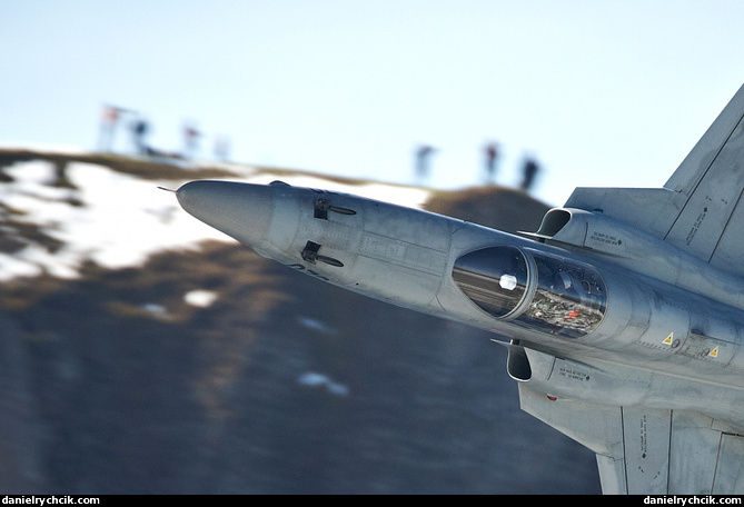 Northrop F-5E Tiger