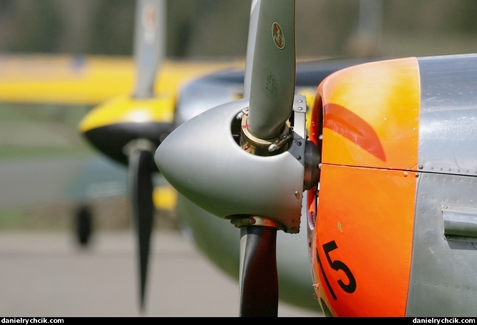 Pilatus P-3 Flyers lined up for the display