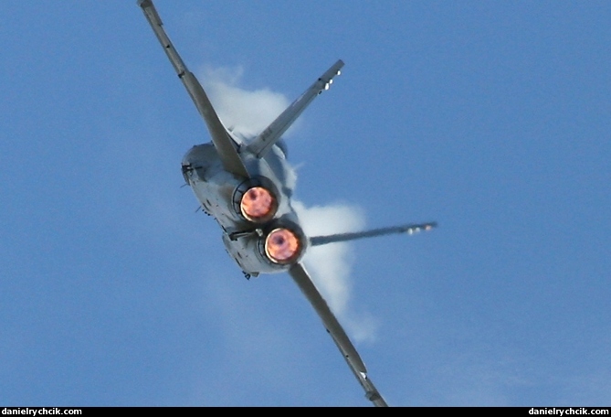 McDonnell Douglas F/A-18C Hornet