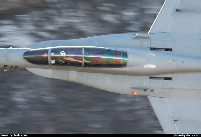 McDonnell Douglas F/A-18D Hornet