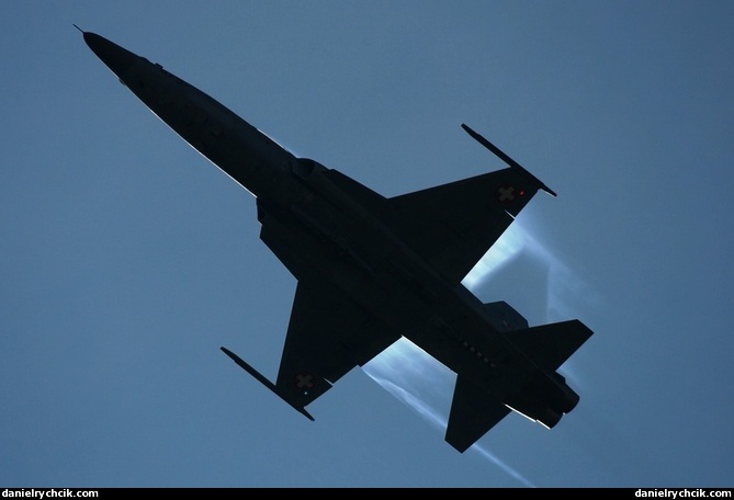 Northrop F-5E Tiger II