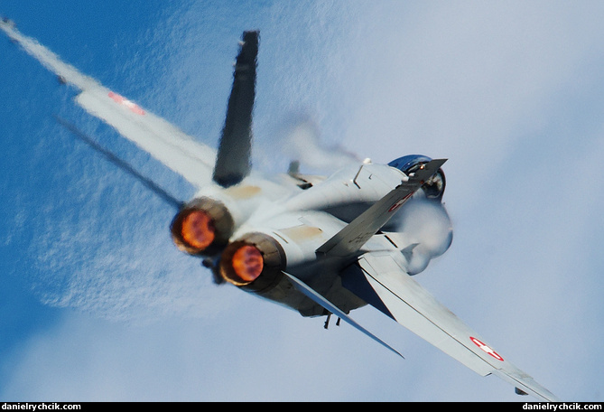 McDonnell Douglas F/A-18C Hornet