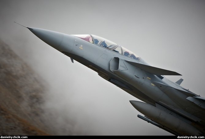 Saab JAS-39F Gripen Demonstrator