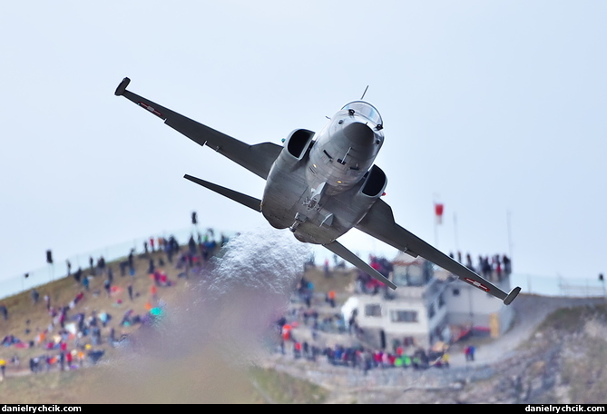 Northrop F-5E Tiger