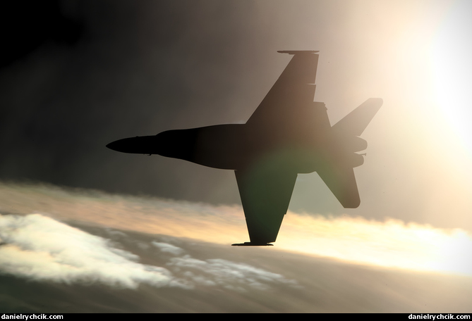 McDonnell-Douglas F/A-18C Hornet (Swiss Air Force)