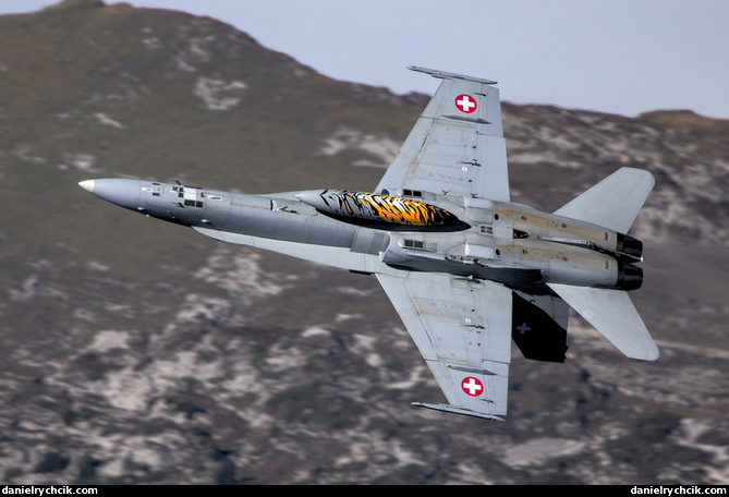 McDonnell Douglas F/A-18C Hornet (Swiss Air Force)