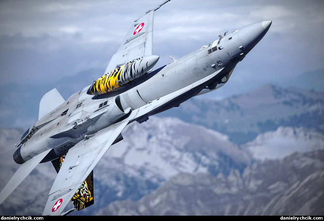 F/A-18C Hornet over Wildgärst