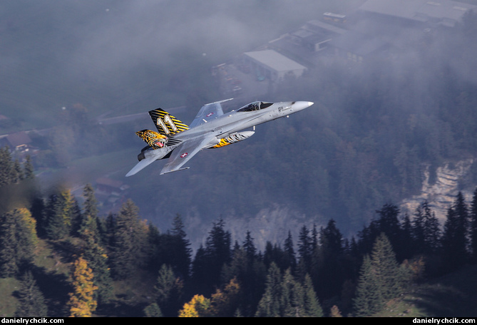 McDonnell Douglas F/A-18C Hornet (Swiss Air Force)