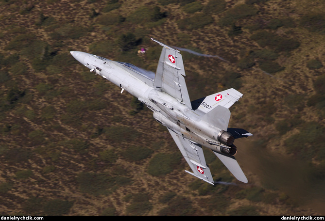 McDonnell Douglas F/A-18C Hornet (Swiss Air Force)