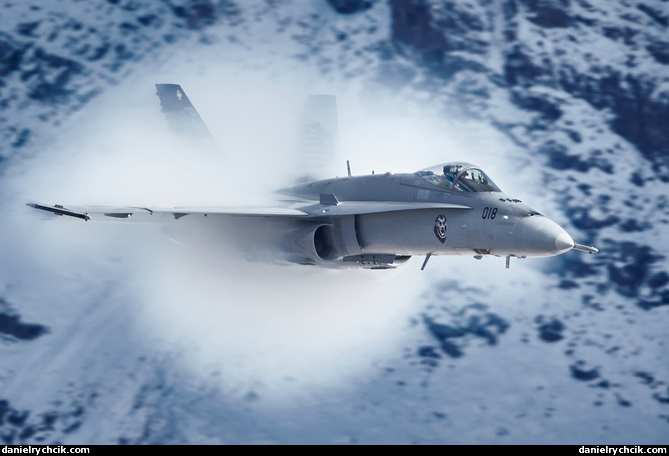 Swiss Hornet Solo Display