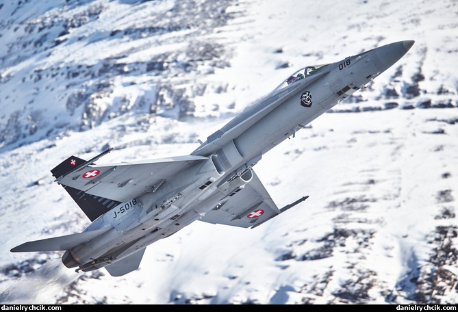 Swiss Hornet Solo Display
