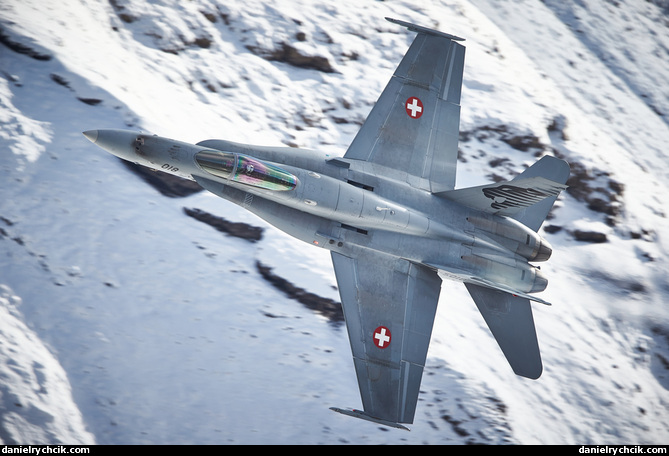 Swiss Hornet Solo Display
