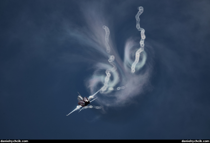Northrop F-5E Tiger II (Patrouille Suisse)