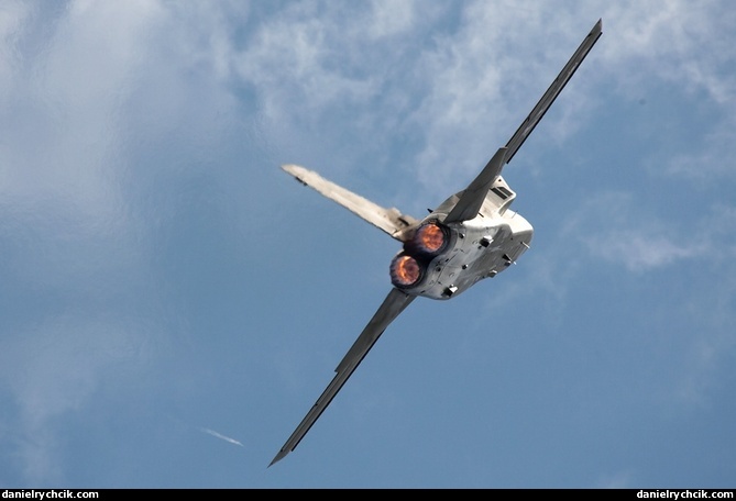 Panavia Tornado IDS