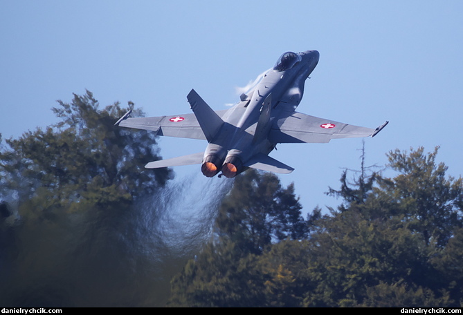 McDonnell-Douglas F/A-18C Hornet (Swiss Air Force)