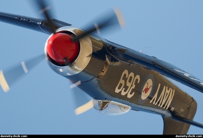 Hawker Sea Fury FB.11