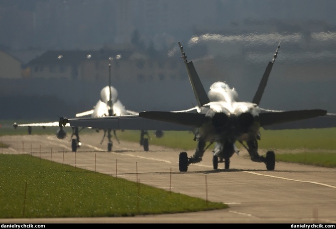 Eurofighter Typhoon T and F/A-18D Hornet