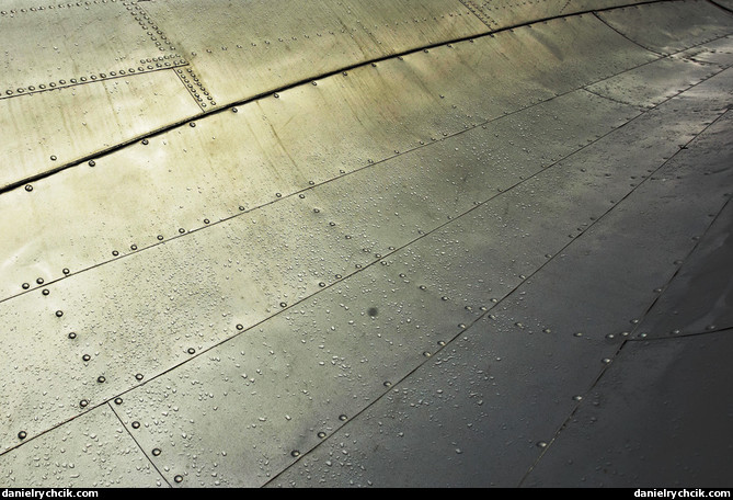 Lisunov Li-2 - details