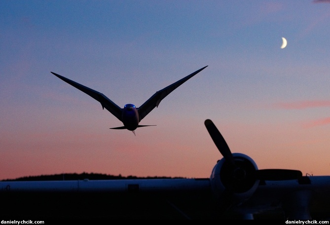 Demonstration of mechanical bird