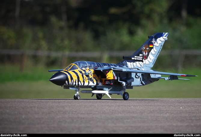 Panavia Tornado ECR