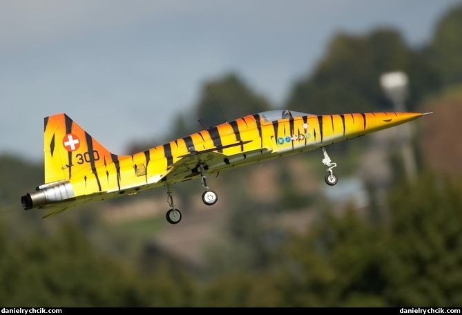 Northrop F-5E Tiger (RC model)