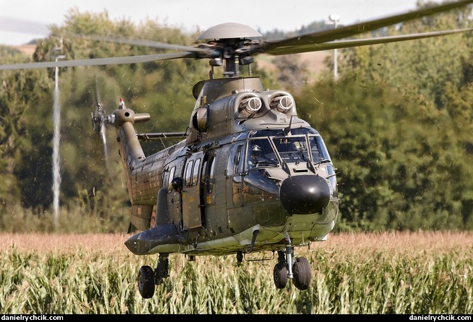 Aerospatiale AS.332 Super Puma (Swiss Air Force)