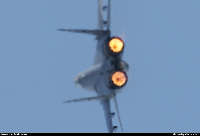 Mikoyan MiG-29 Fulcrum - Polish Air Force