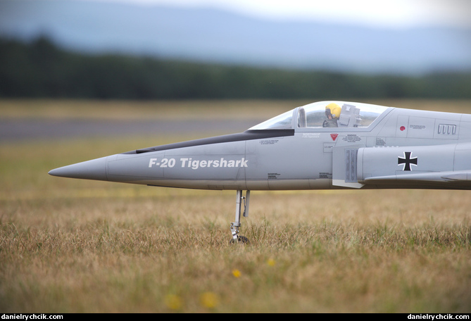 Northrop F-20 Tigershark