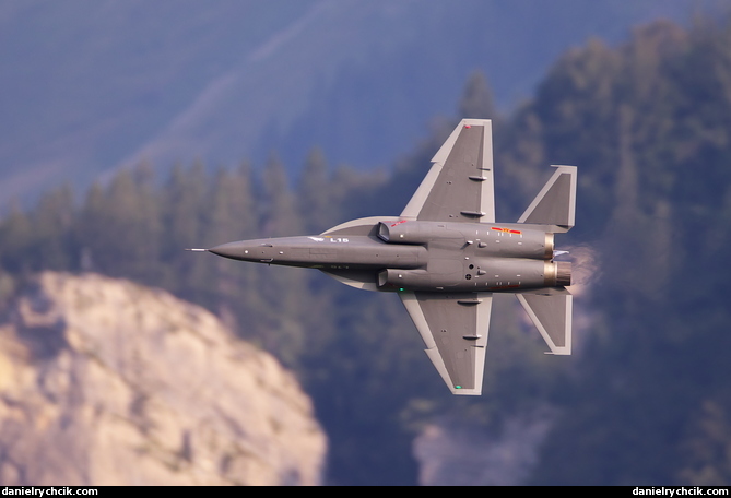 Hongdu L-15