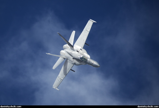 F/A-18C Hornet (Finnish Air Force)