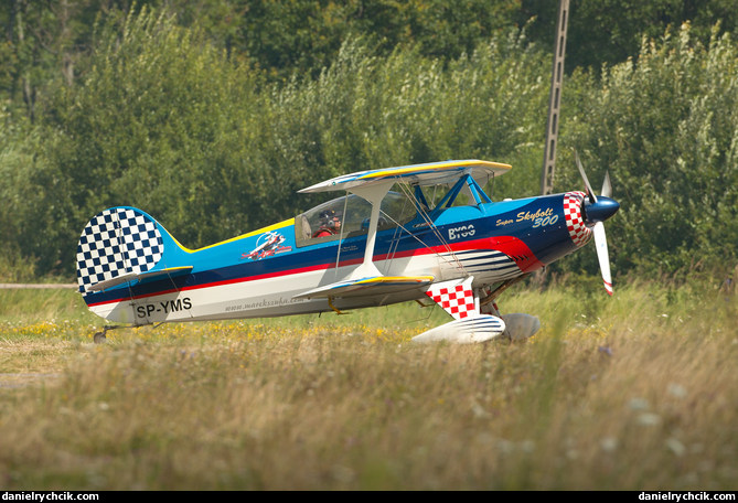 Steen Skybolt 300