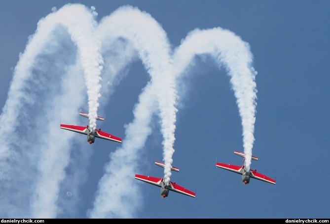 Jordanian Falcons