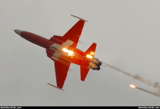 F-5E Tiger II (Patrouille Suisse)