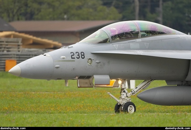 McDonnell Douglas F/A-18D Hornet