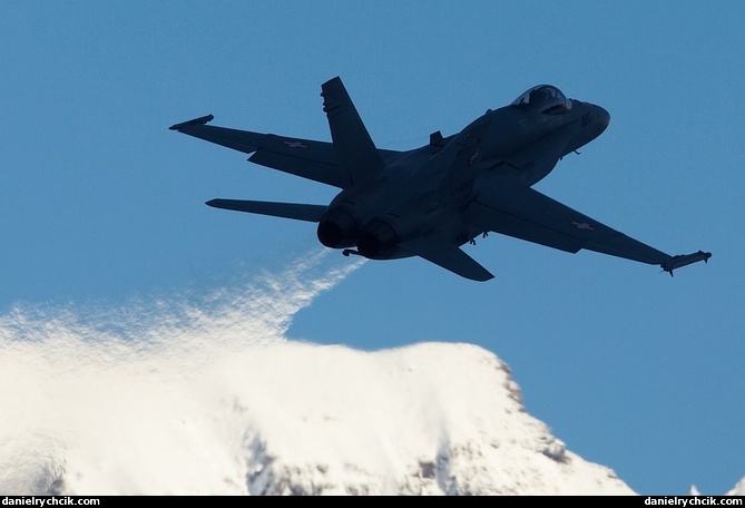 McDonnell Douglas F/A-18D Hornet