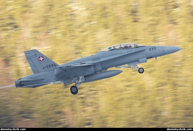 McDonnell Douglas F/A-18D Hornet