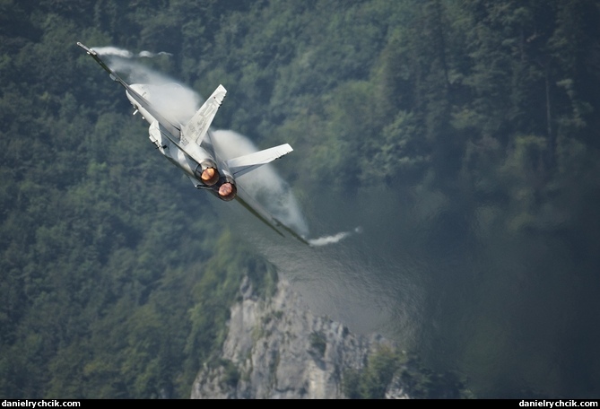 F/A-18C Hornet solo display