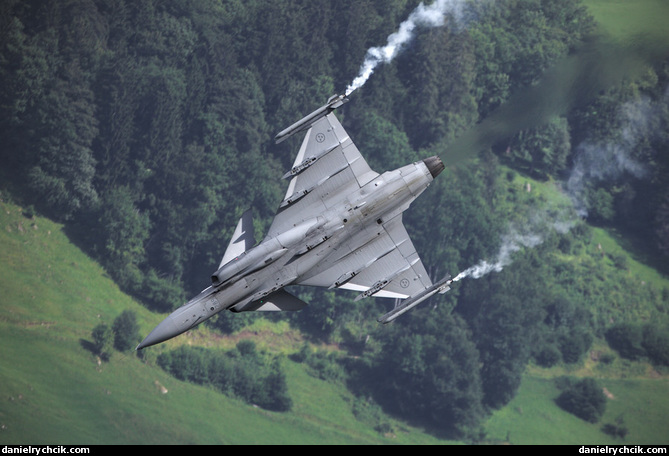 JAS 39C Gripen (Swedish Air Force)