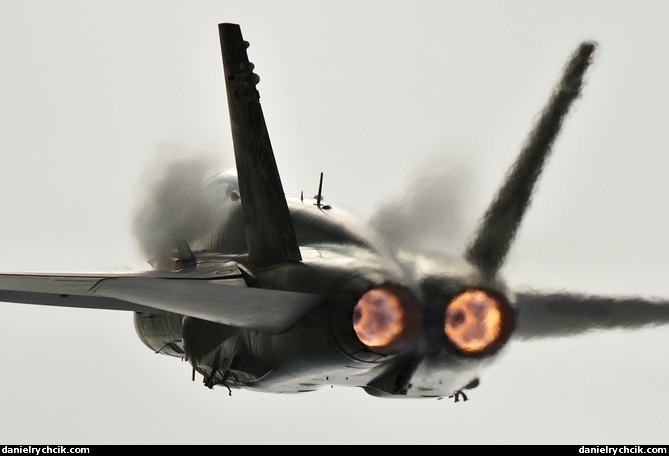 McDonnell Douglas F/A18C Hornet (Swiss Air Force)