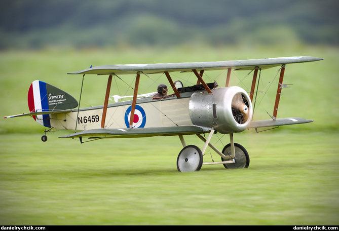 Sopwith F.1 Camel