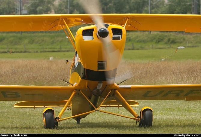 Bucker Bu-131 Jungmann