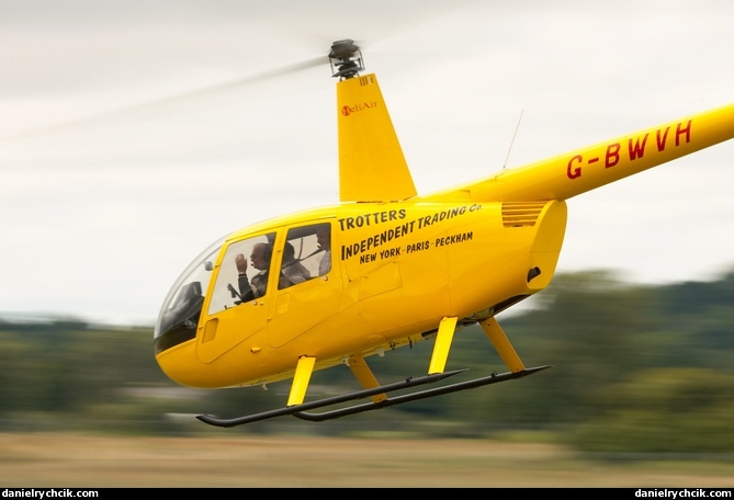 Robinson R44