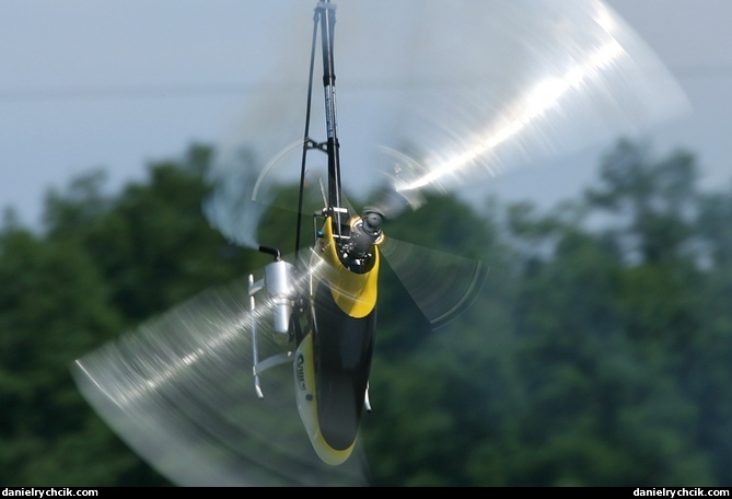 RC meeting in Sauverny