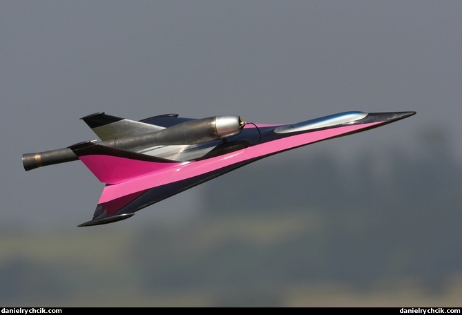 RC model